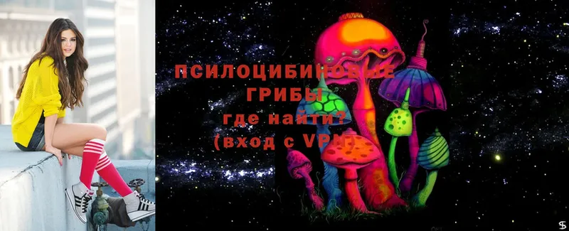 Галлюциногенные грибы Magic Shrooms  Глазов 